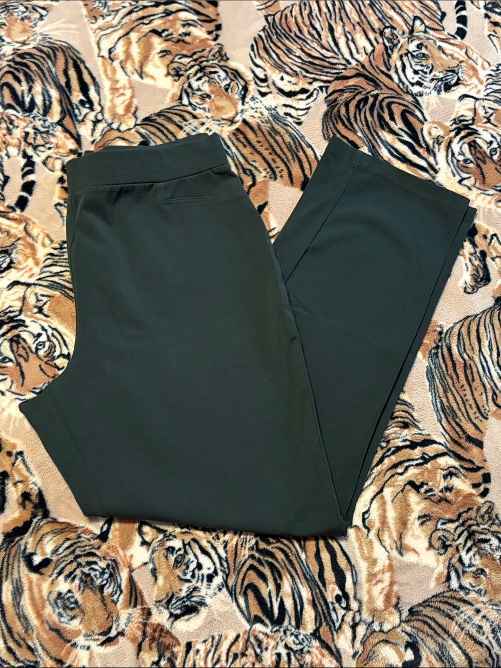 Susan Graver Weekend Regular Premium Stretch Slim Leg Pant ~ Dark Evergreen